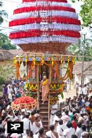 Swamiji decending the Rath